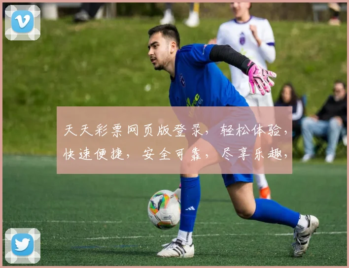 天天彩票网页版登录，轻松体验，快速便捷，安全可靠，尽享乐趣，三步即可