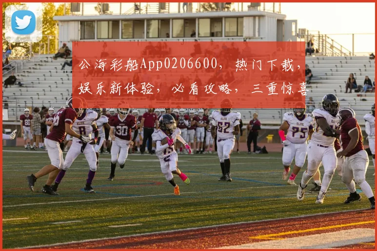 公海彩船App0206600，热门下载，娱乐新体验，必看攻略，三重惊喜