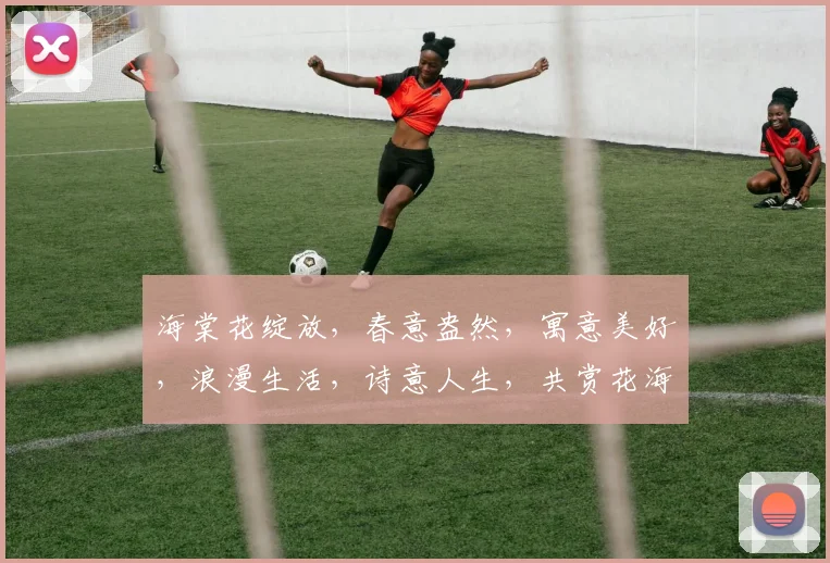 海棠花绽放，春意盎然，寓意美好，浪漫生活，诗意人生，共赏花海之美。